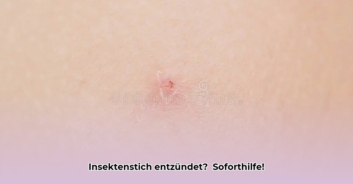 insektenstich-infektion